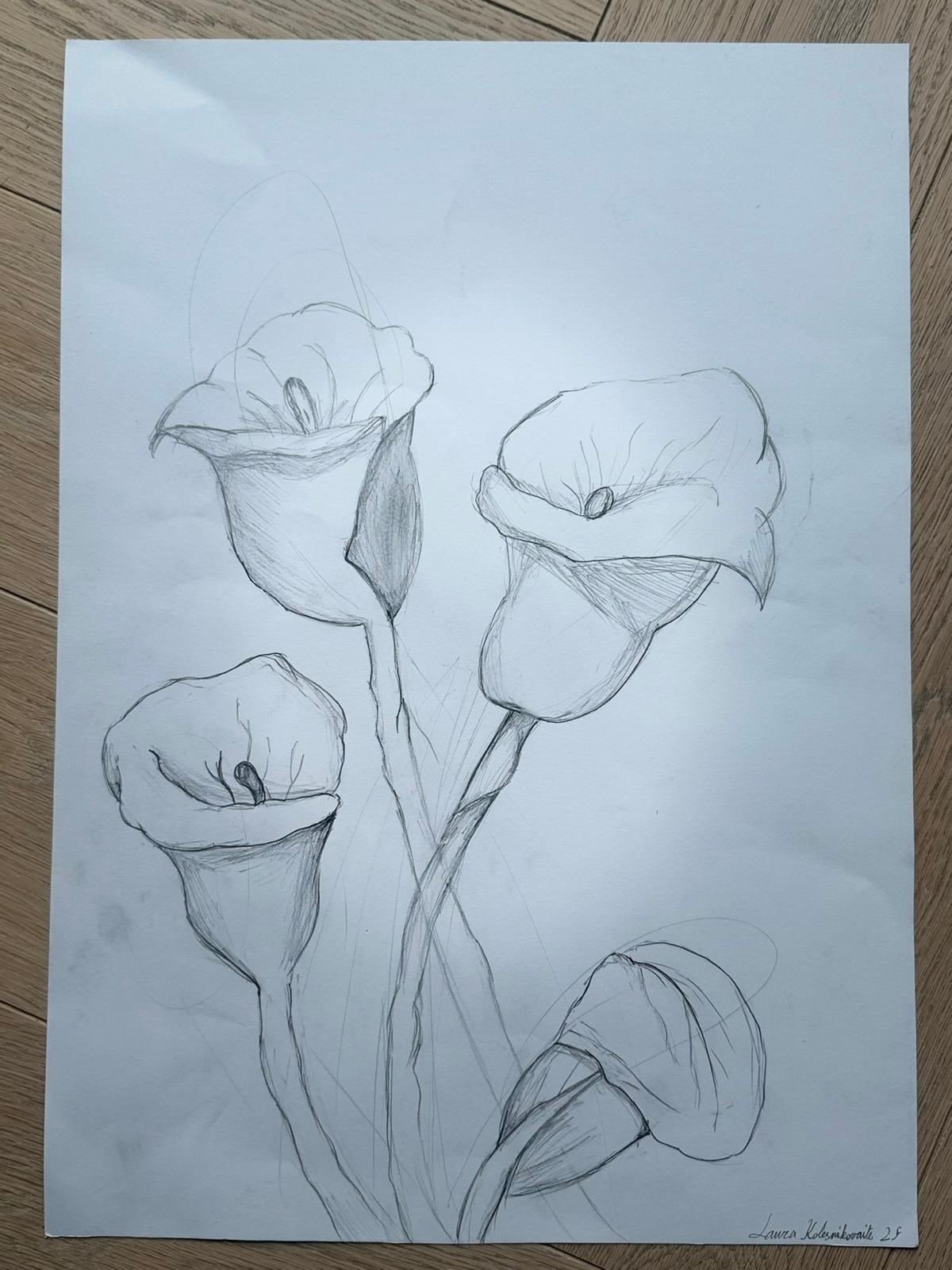 Three Callas, graphite on paper by Laura Kolesnikovaitė